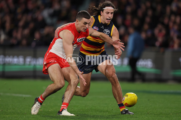 AFL 2024 Round 14 - Adelaide v Sydney - A-51029470