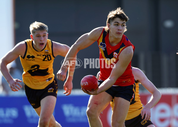 Marsh AFL Championships U18 Boys 2024 - South Australia v Western Australia - A-51029538