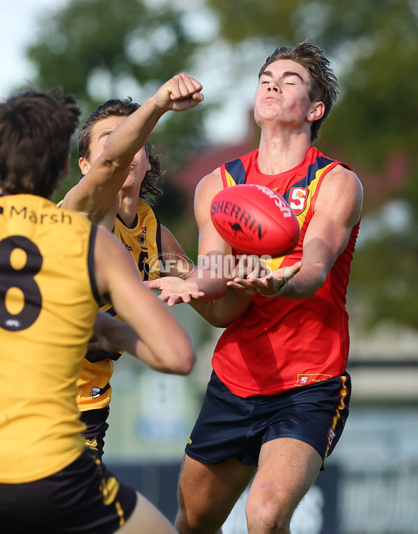 Marsh AFL Championships U18 Boys 2024 - South Australia v Western Australia - A-51033367