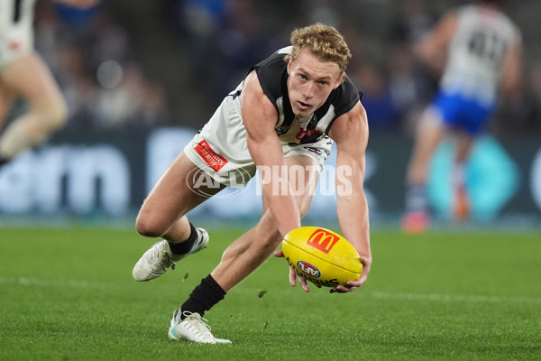 AFL 2024 Round 14 - North Melbourne v Collingwood - A-51036212