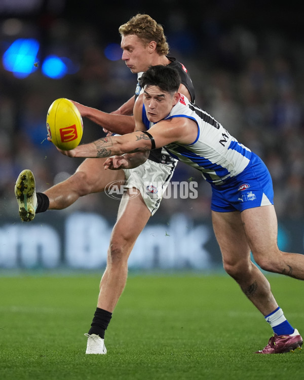 AFL 2024 Round 14 - North Melbourne v Collingwood - A-51036219