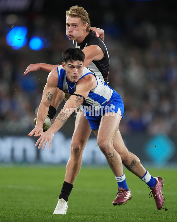 AFL 2024 Round 14 - North Melbourne v Collingwood - A-51036220