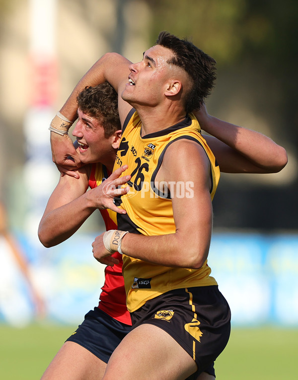 Marsh AFL Championships U18 Boys 2024 - South Australia v Western Australia - A-51036282