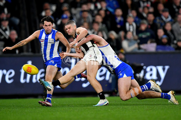 AFL 2024 Round 14 - North Melbourne v Collingwood - A-51049888