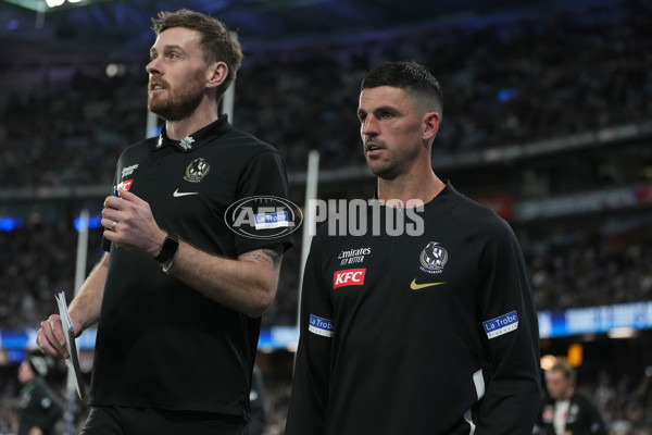 AFL 2024 Round 14 - North Melbourne v Collingwood - A-51052165