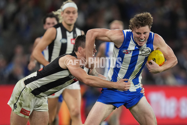 AFL 2024 Round 14 - North Melbourne v Collingwood - A-51055343