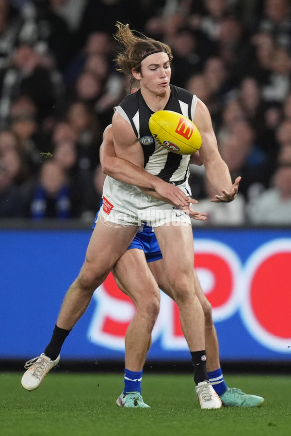 AFL 2024 Round 14 - North Melbourne v Collingwood - A-51055719