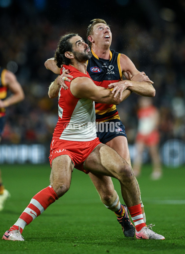 AFL 2024 Round 14 - Adelaide v Sydney - A-51061610