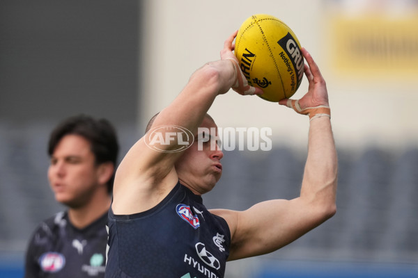 AFL 2024 Training - Carlton 200624 - A-51131762