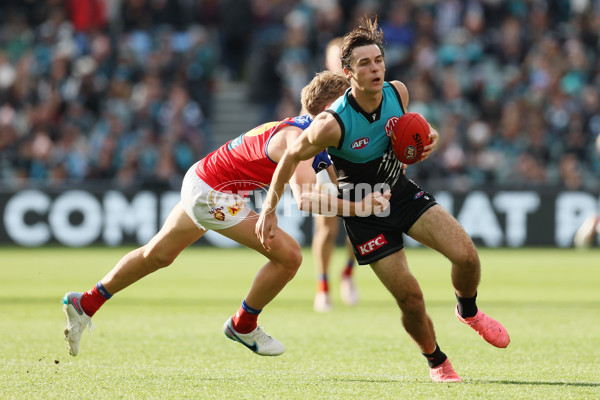 AFL 2024 Round 15 - Port Adelaide v Brisbane - A-51189633