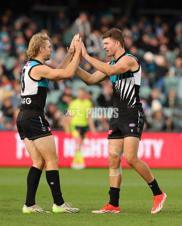 AFL 2024 Round 15 - Port Adelaide v Brisbane - A-51190948