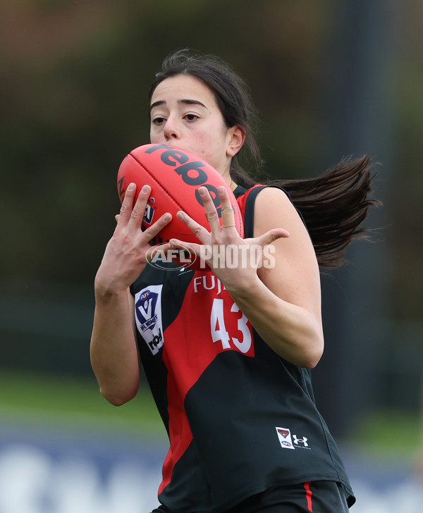 VFLW 2024 Round 14 - Essendon v Geelong - A-51194937