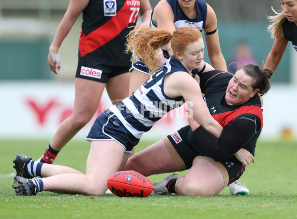 VFLW 2024 Round 14 - Essendon v Geelong - A-51196744