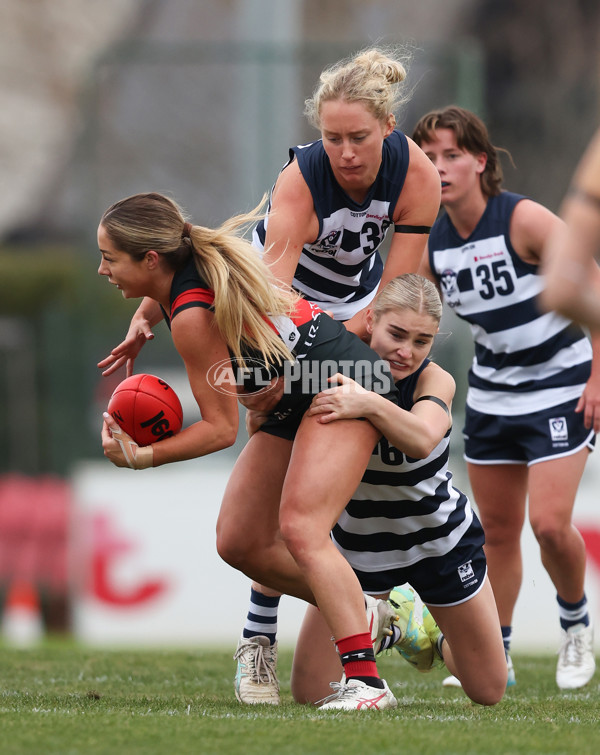 VFLW 2024 Round 14 - Essendon v Geelong - A-51200038