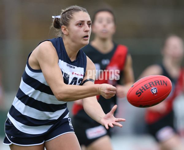 VFLW 2024 Round 14 - Essendon v Geelong - A-51200042