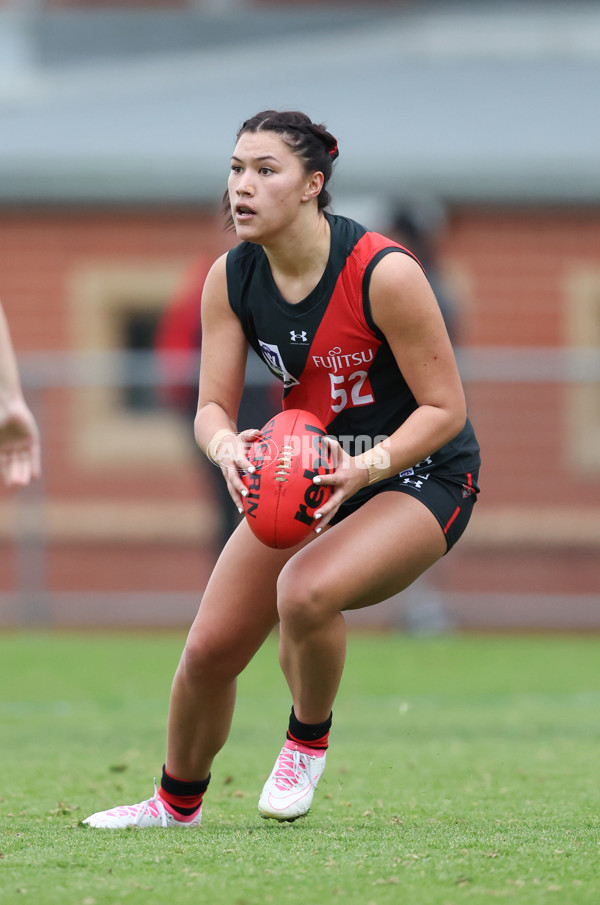 VFLW 2024 Round 14 - Essendon v Geelong - A-51202440