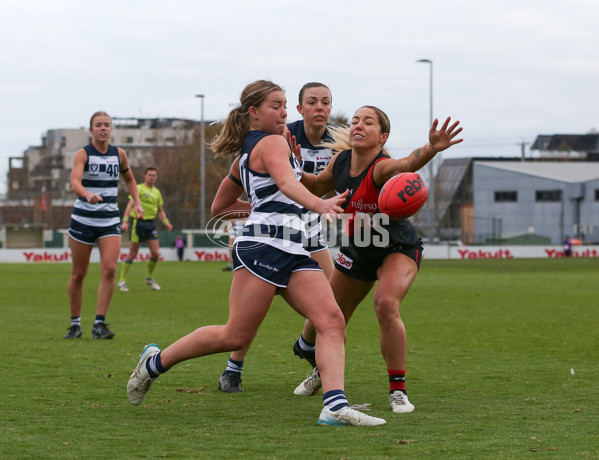 VFLW 2024 Round 14 - Essendon v Geelong - A-51208633