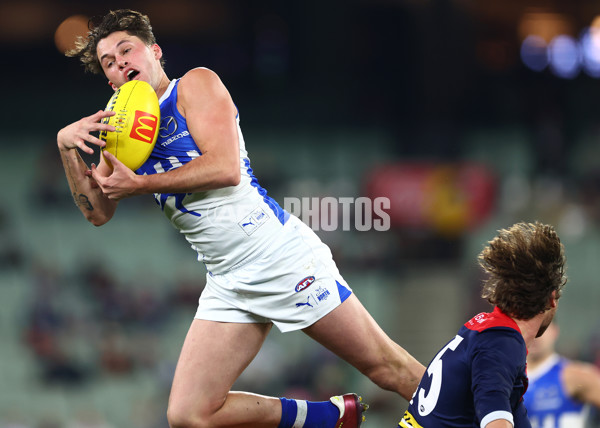 AFL 2024 Round 15 - Melbourne v North Melbourne - A-51210926