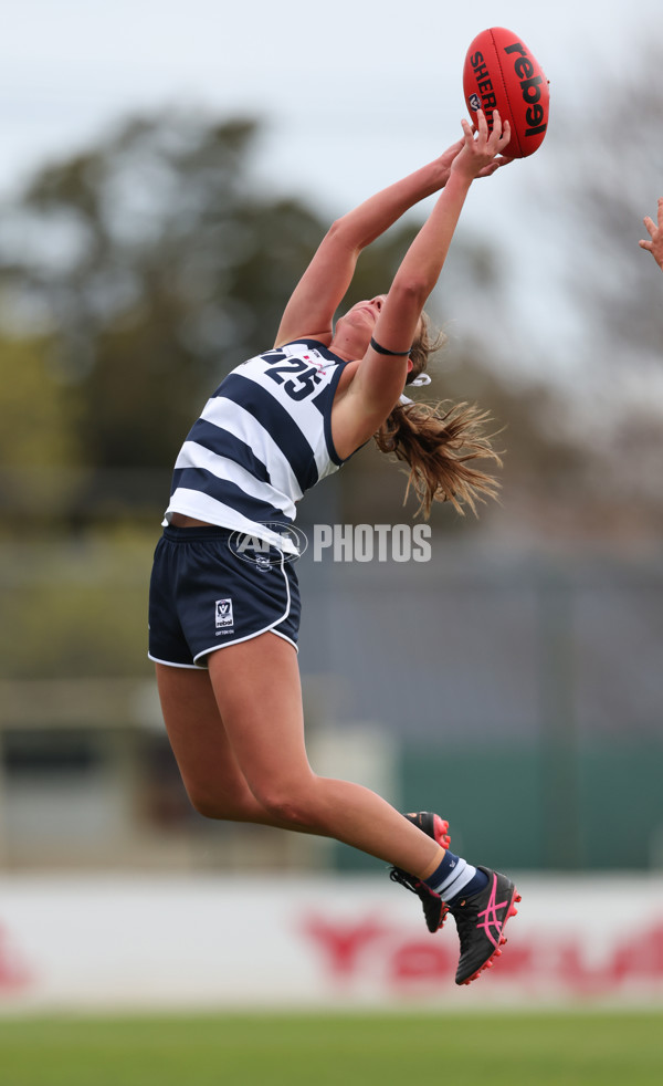 VFLW 2024 Round 14 - Essendon v Geelong - A-51211491