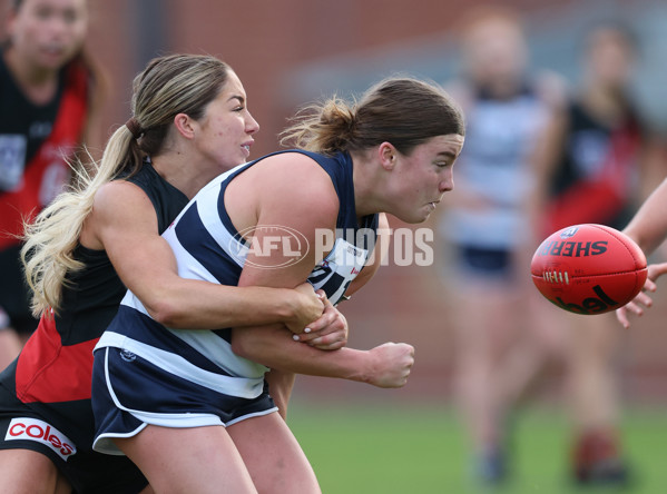 VFLW 2024 Round 14 - Essendon v Geelong - A-51211531