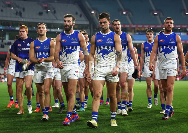 AFL 2024 Round 15 - Melbourne v North Melbourne - A-51213584