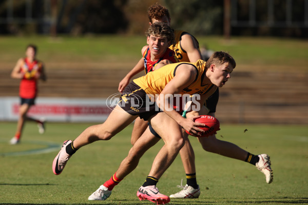 Marsh AFL Championships U16 Boys 2024 - South Australia v Western Australia - A-51213606