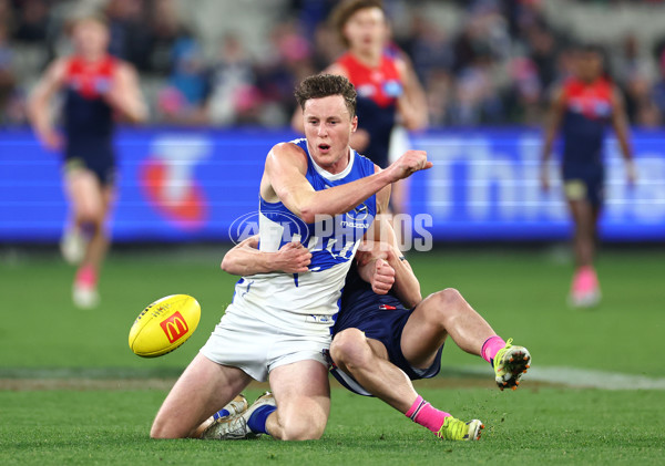 AFL 2024 Round 15 - Melbourne v North Melbourne - A-51213618