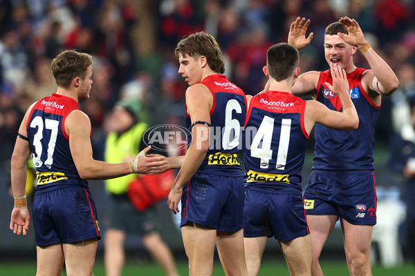 AFL 2024 Round 15 - Melbourne v North Melbourne - A-51213647