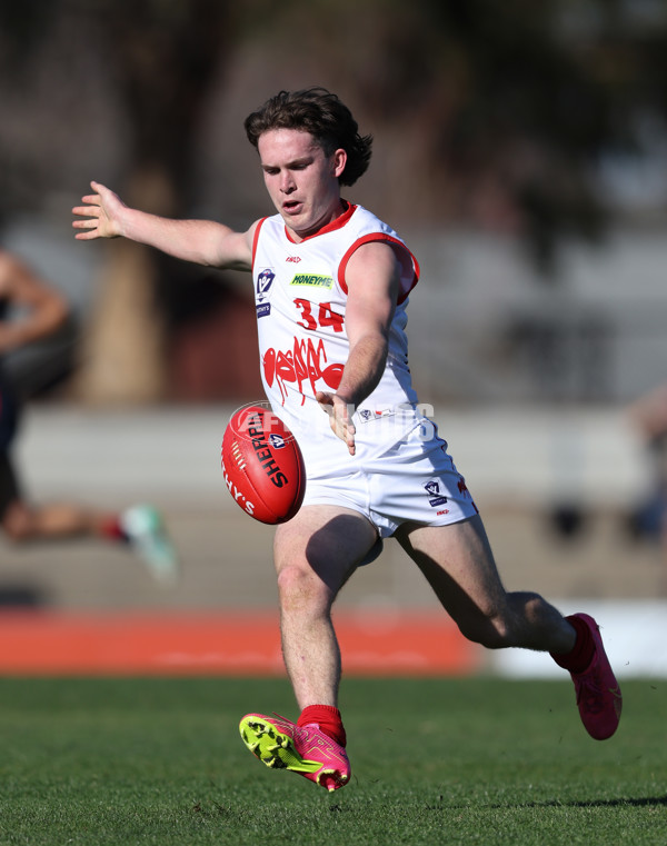 VFL 2024 Round 13 - Coburg v Northern Bullants - A-51218868