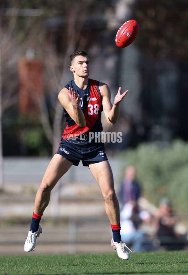 VFL 2024 Round 13 - Coburg v Northern Bullants - A-51219929