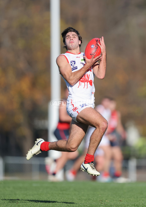 VFL 2024 Round 13 - Coburg v Northern Bullants - A-51220021