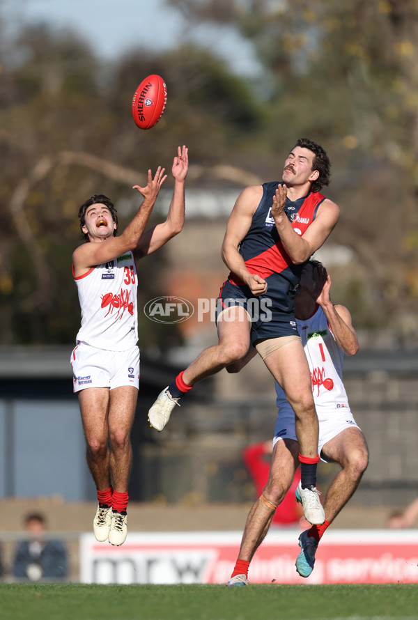 VFL 2024 Round 13 - Coburg v Northern Bullants - A-51220024