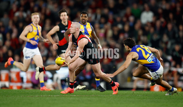 AFL 2024 Round 15 - Essendon v West Coast - A-51221183