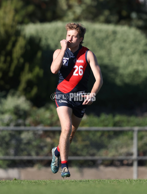 VFL 2024 Round 13 - Coburg v Northern Bullants - A-51221200