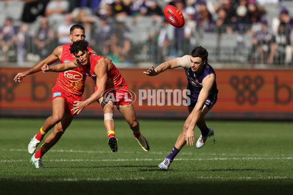 AFL 2024 Round 15 - Fremantle v Gold Coast - A-51228212