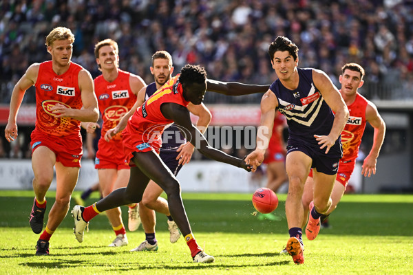AFL 2024 Round 15 - Fremantle v Gold Coast - A-51228219