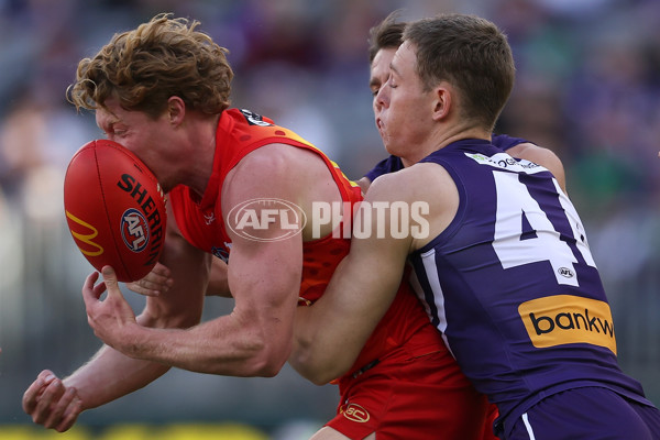 AFL 2024 Round 15 - Fremantle v Gold Coast - A-51228251
