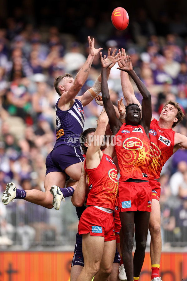 AFL 2024 Round 15 - Fremantle v Gold Coast - A-51228275
