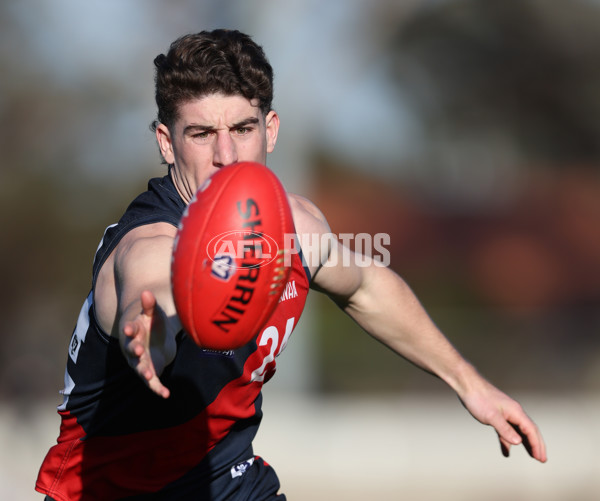 VFL 2024 Round 13 - Coburg v Northern Bullants - A-51228279