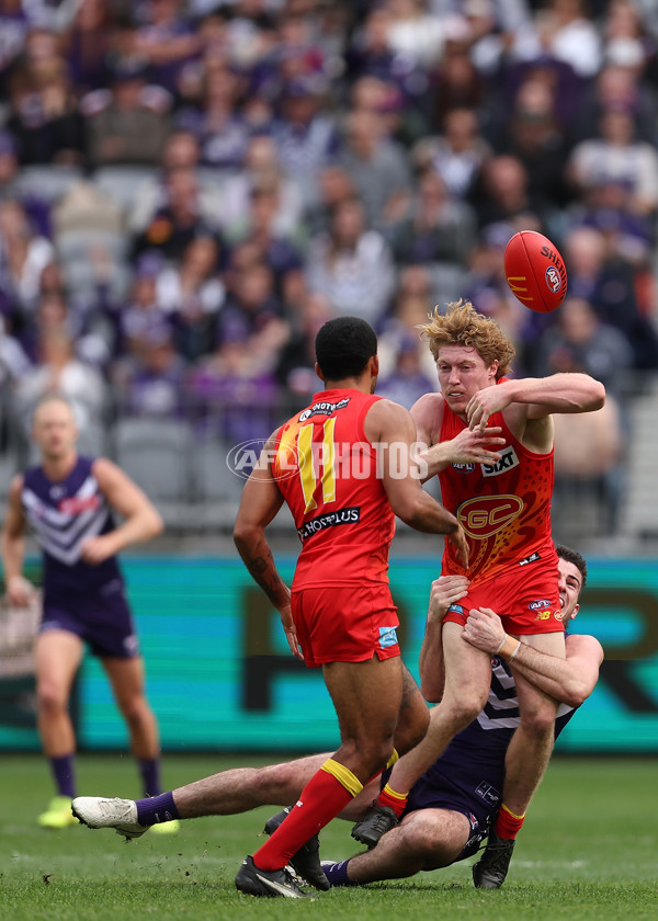 AFL 2024 Round 15 - Fremantle v Gold Coast - A-51228298