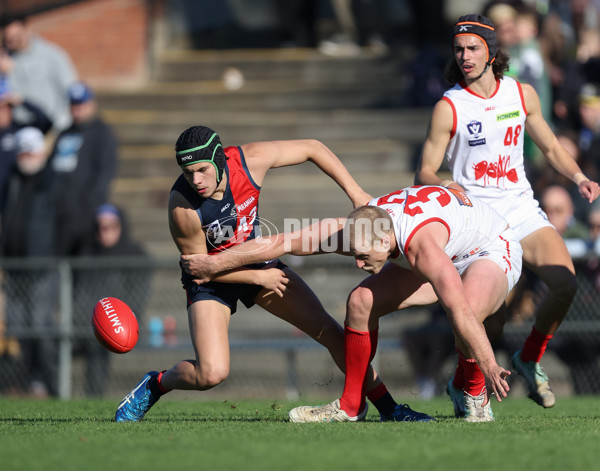 VFL 2024 Round 13 - Coburg v Northern Bullants - A-51230796