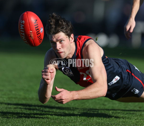 VFL 2024 Round 13 - Coburg v Northern Bullants - A-51230800