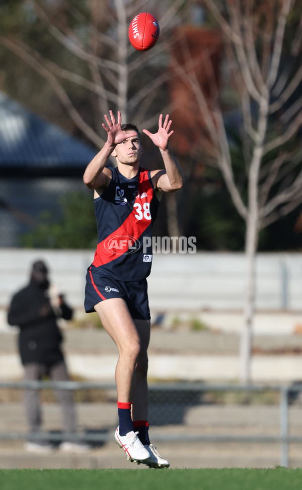 VFL 2024 Round 13 - Coburg v Northern Bullants - A-51230803