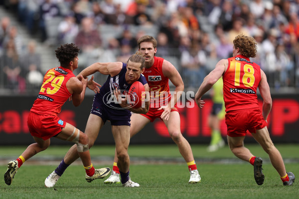 AFL 2024 Round 15 - Fremantle v Gold Coast - A-51230832