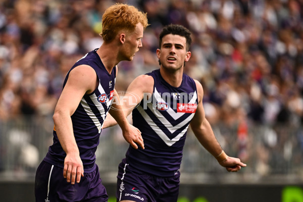AFL 2024 Round 15 - Fremantle v Gold Coast - A-51231164