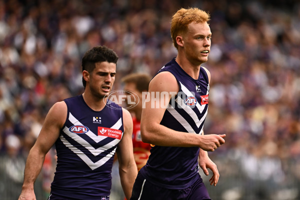 AFL 2024 Round 15 - Fremantle v Gold Coast - A-51231165