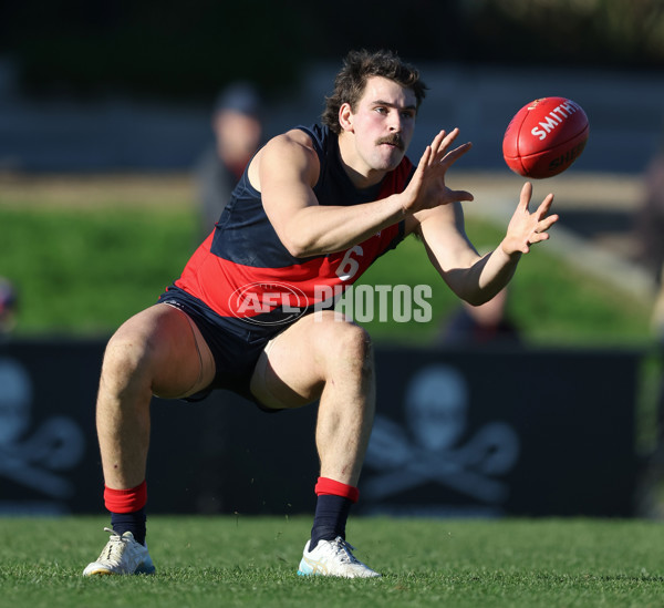 VFL 2024 Round 13 - Coburg v Northern Bullants - A-51231191