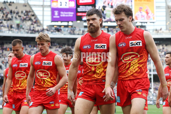 AFL 2024 Round 15 - Fremantle v Gold Coast - A-51231233