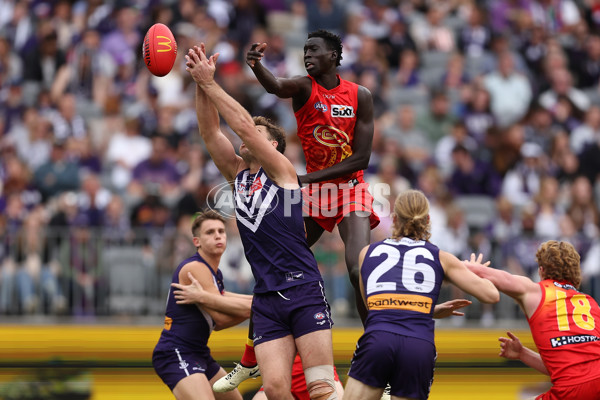 AFL 2024 Round 15 - Fremantle v Gold Coast - A-51233061
