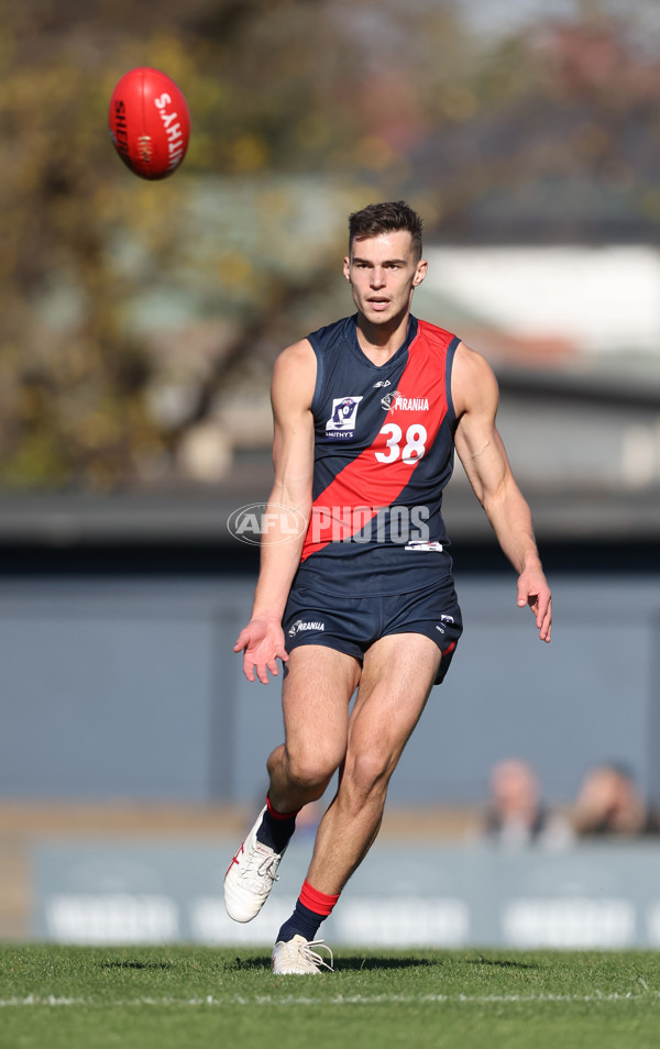 VFL 2024 Round 13 - Coburg v Northern Bullants - A-51233135